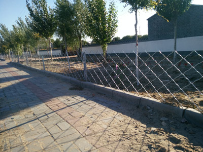 內蒙奈曼旗十個全覆蓋項目 內蒙奈曼旗十個全覆蓋項目